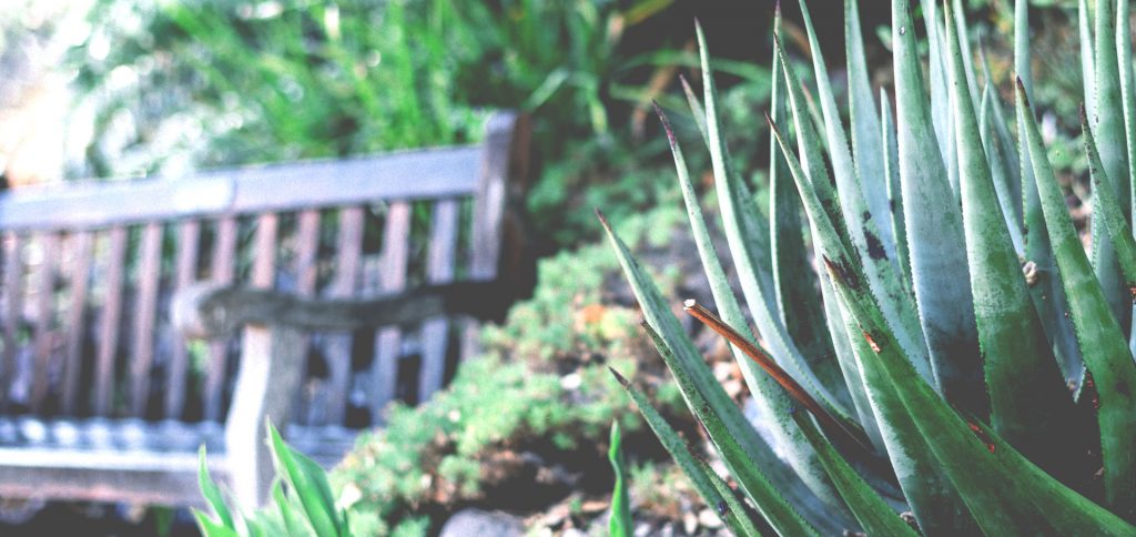 Jardineros en Madrid