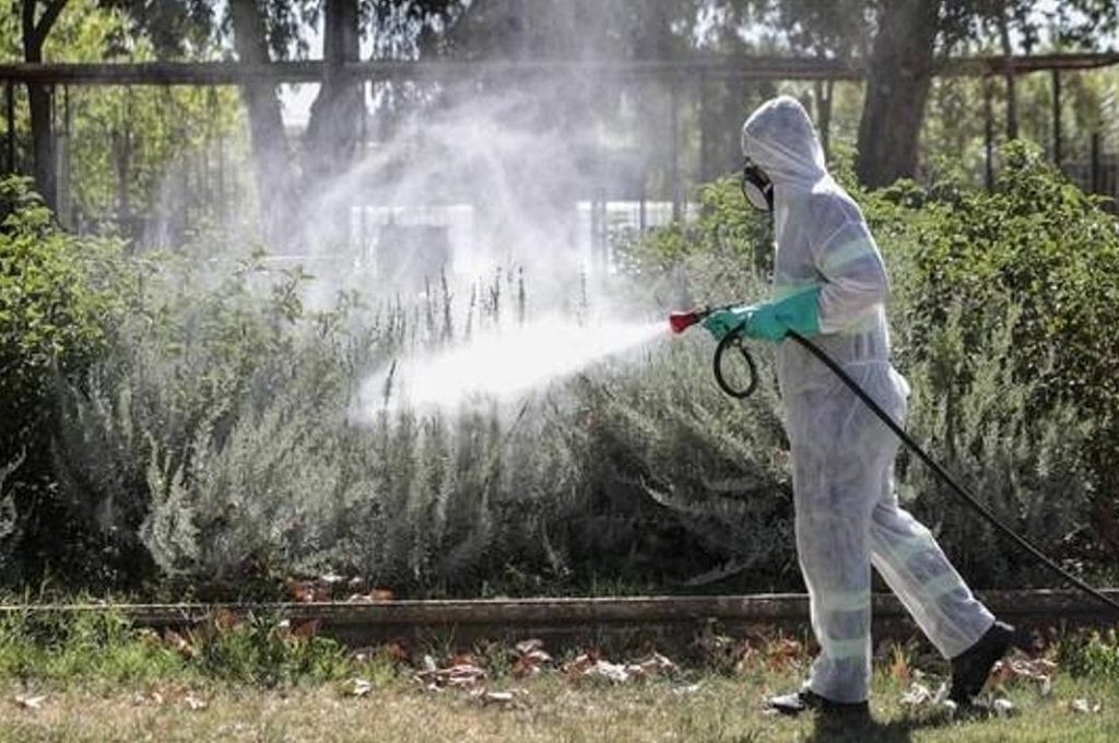 Fumigación de jardines Fumigación de jardines Madrid