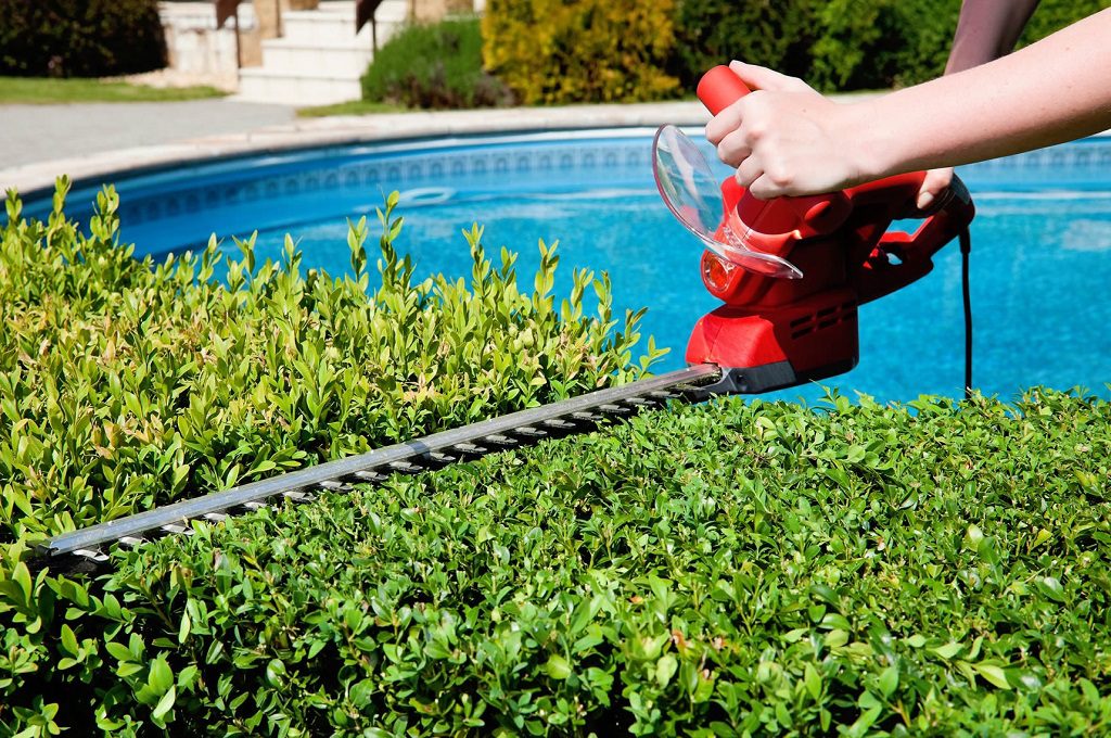 Poda de setos Poda de setos Madrid