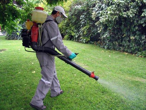 Fumigacion de jardines en Madrid