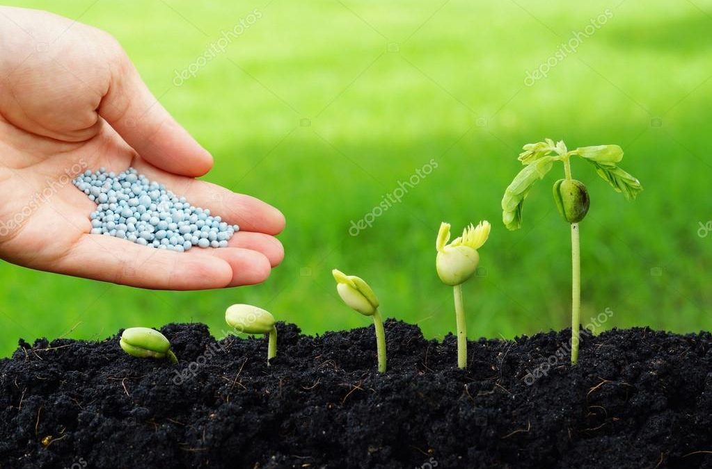 Abonos y Fertilización en Madrid