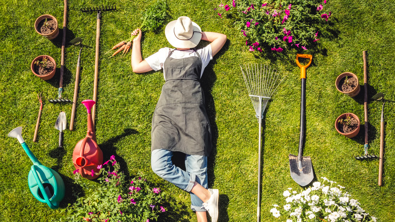 Limpieza de Jardines en Madrid