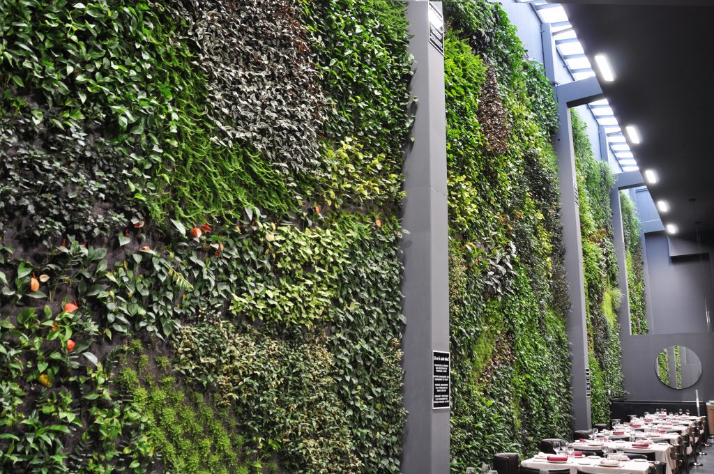Jardines verticales en Madrid